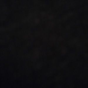 Meet your Posher, Beatrice